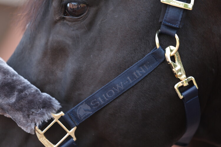 Bucas Show-Line Halster