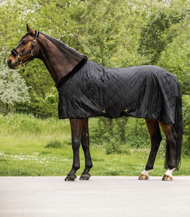 Waldhausen Show- en transportdeken Exclusive 50g