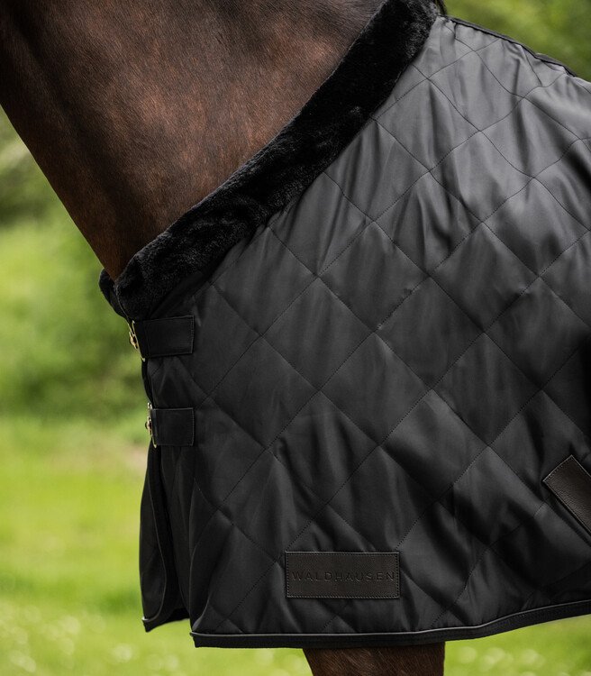 Waldhausen Show- en transportdeken Exclusive 50g