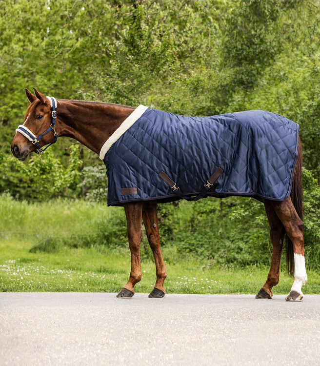 Waldhausen Show- en transportdeken Exclusive 50g