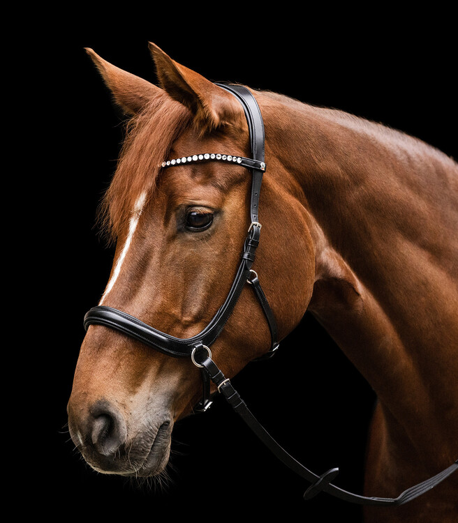 Waldhausen X-Line Bitloos hoofdstel Sensation