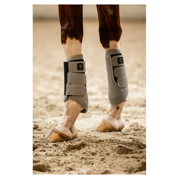 BR CLX Majestic Beenbeschermers