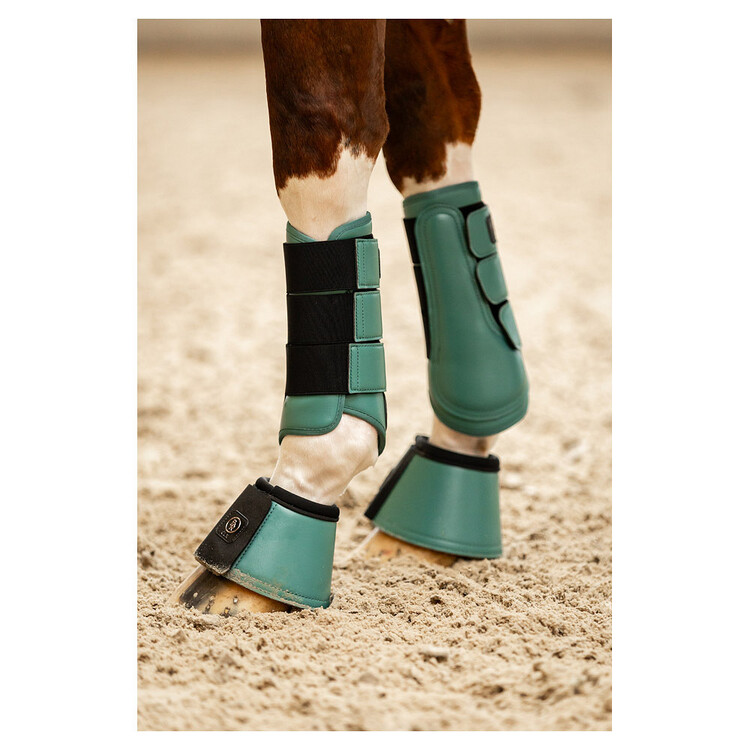 BR CLX Majestic Beenbeschermers