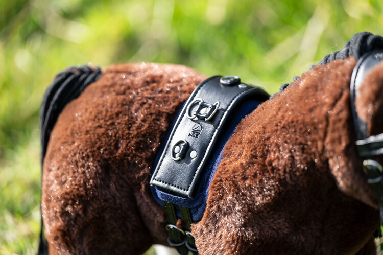 HKM Longeerset Cuddle Pony