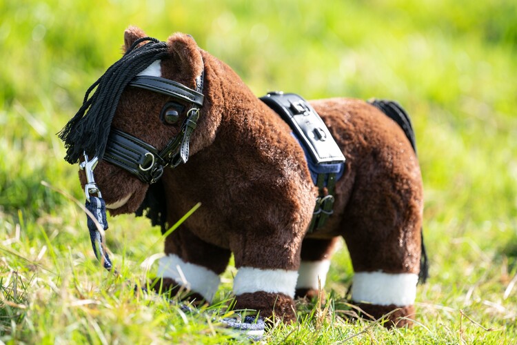 HKM Longeerset Cuddle Pony