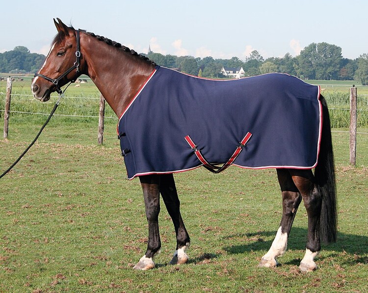 Harry's Horse Coolerdeken Jersey
