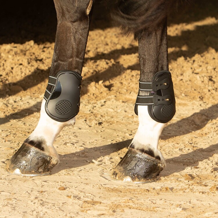 Harry's Horse Kogelbeschermers Elite-R