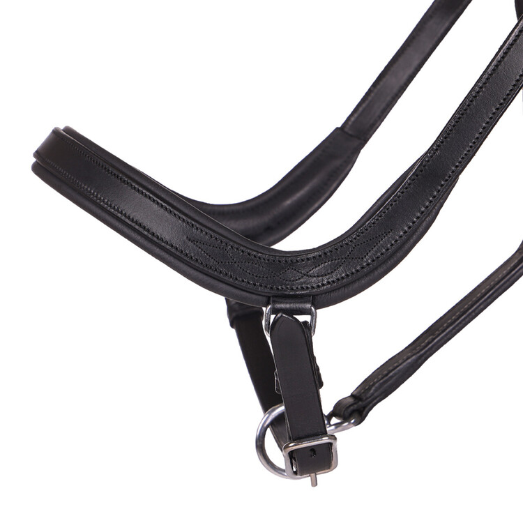 QHP Halster Salerno anatomisch