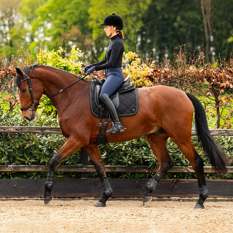 PresTeq Bitloos hoofdstel FaySport