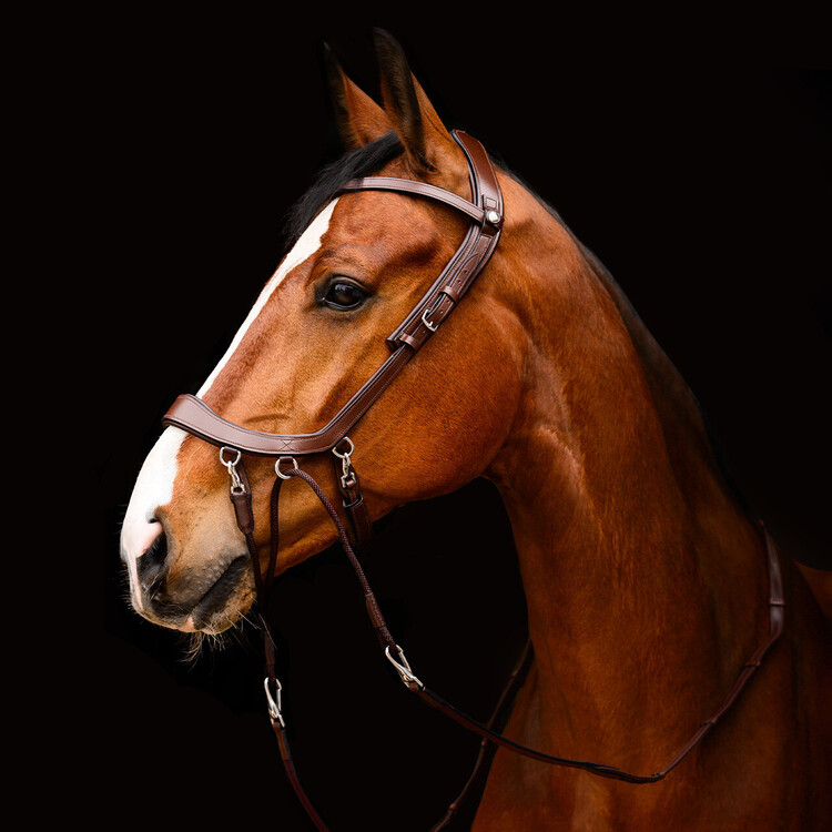 PresTeq Bitloos hoofdstel FaySport