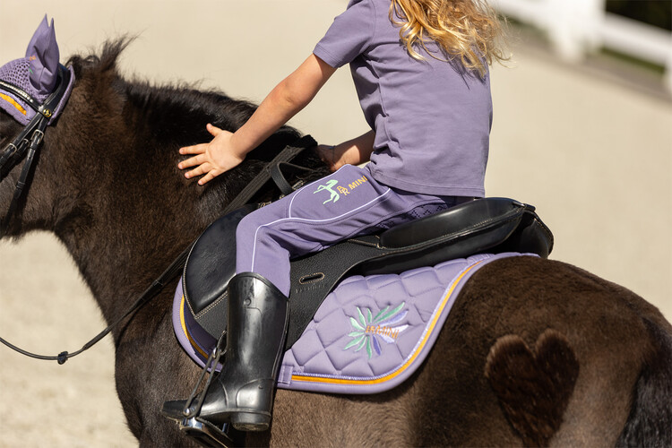 BR Mini Horse zadeldek