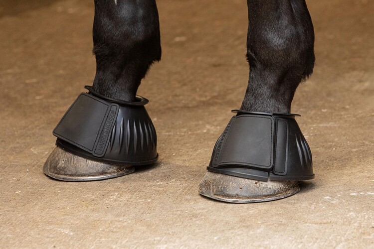 Harry's Horse Springschoenen TPE