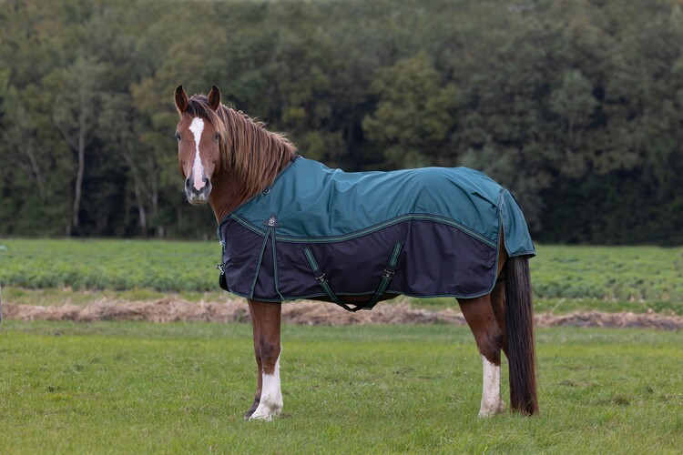 DKR Sports Regendeken Big Neck met fleece