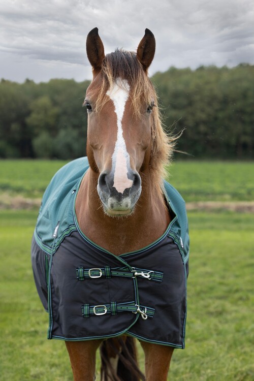 DKR Sports Regendeken Big Neck met fleece