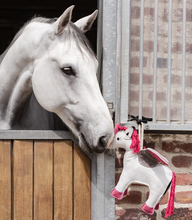Waldhausen Paardenspeelgoed Eenhoorn Emily