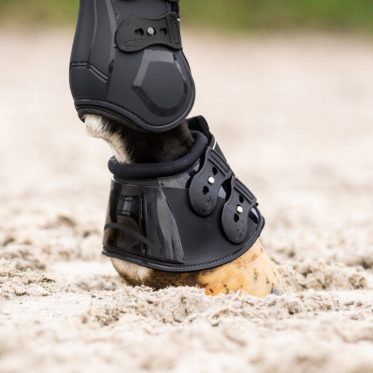 QHP Springschoenen Champion