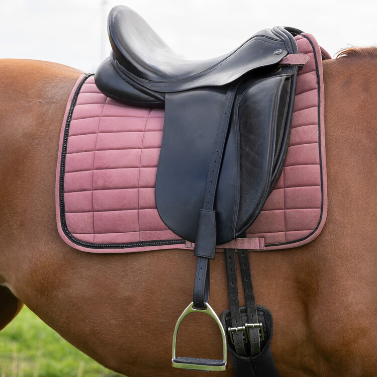 QHP Beugelriem Mono