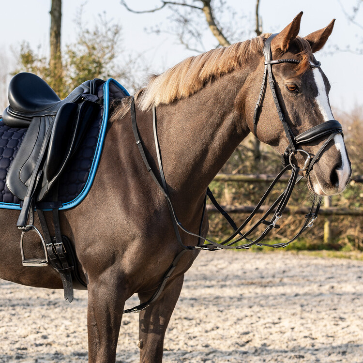 QHP Thiedeman teugel set