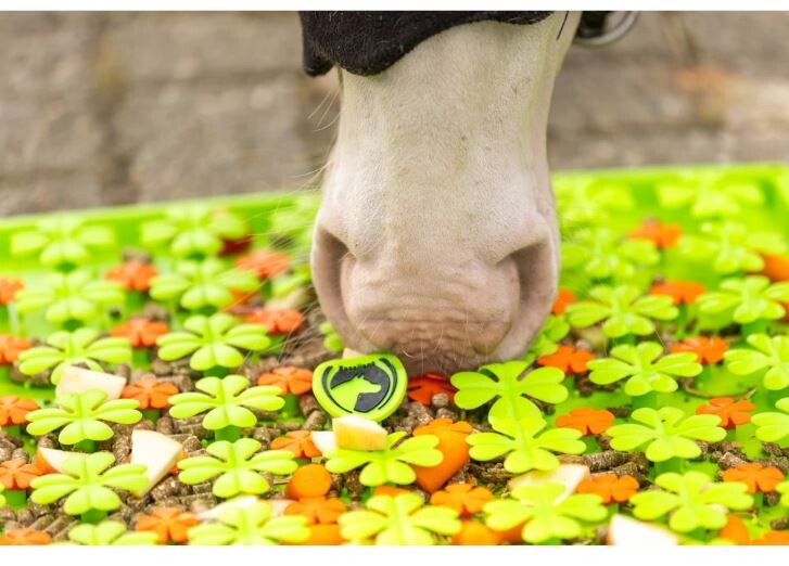 Excellent Horse Snuffle Mat