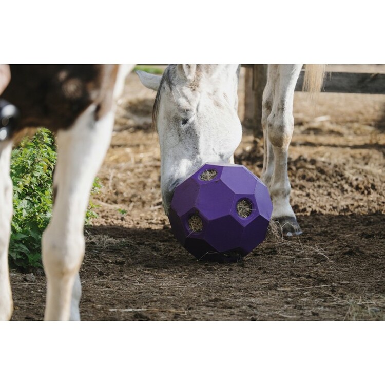 Hay Play Slowfeeder Hooibal