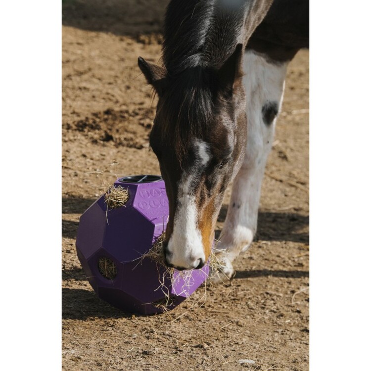 Hay Play Slowfeeder Hooibal