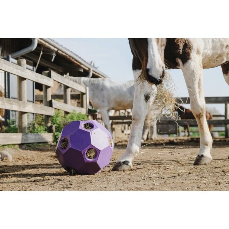 Hay Play Slowfeeder Hooibal