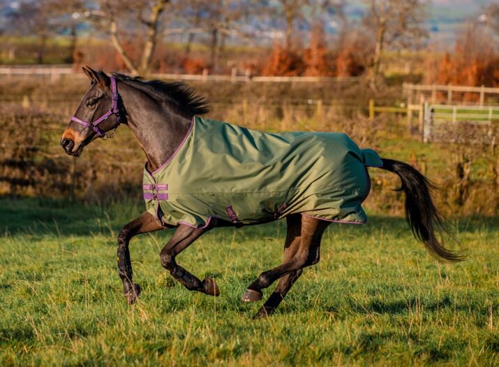 Horseware Amigo Hero Ripstop Original 50g