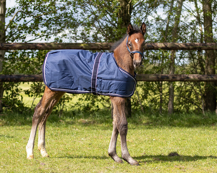 QHP Veulendeken turnout 100gr