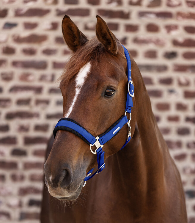 Waldhausen Halster Breath