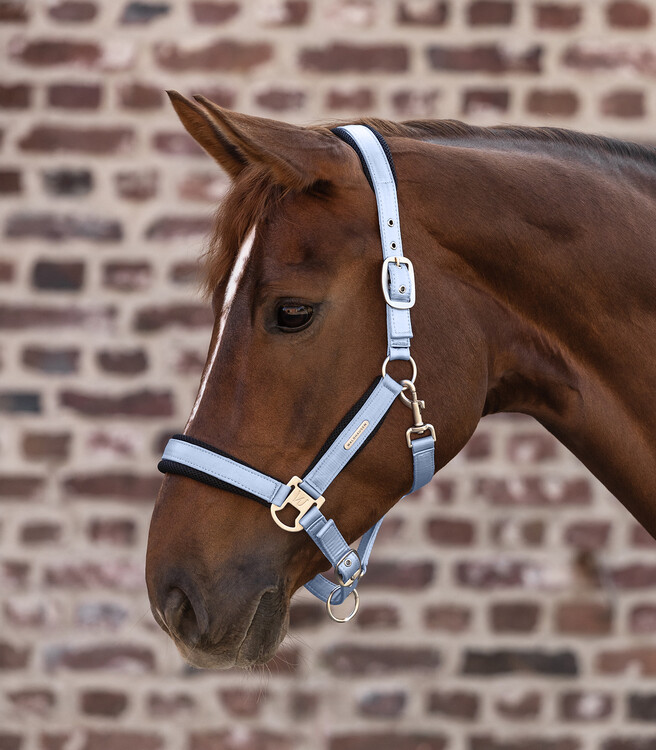 Waldhausen Halster Breath