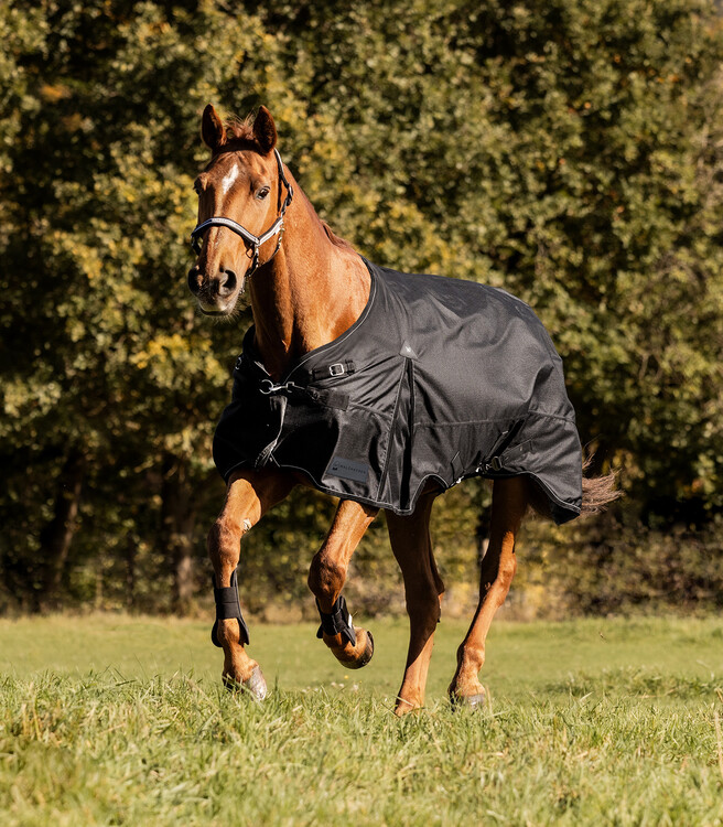 Waldhausen Regendeken Scandic Light 0gr