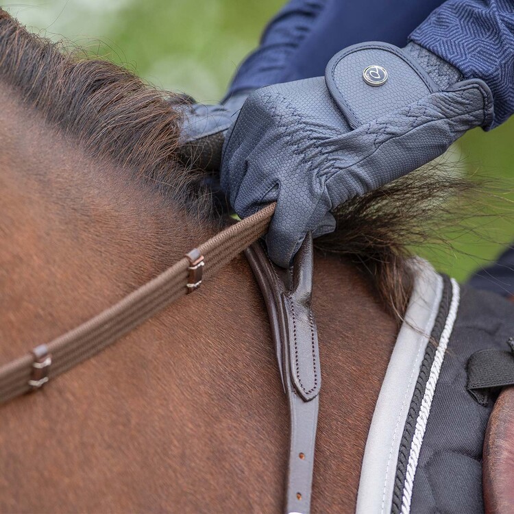 QHP Borsttuig met handvat