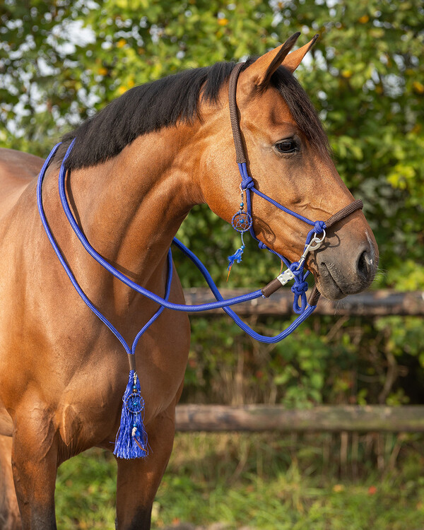 QHP Touwhalster combi Liberty