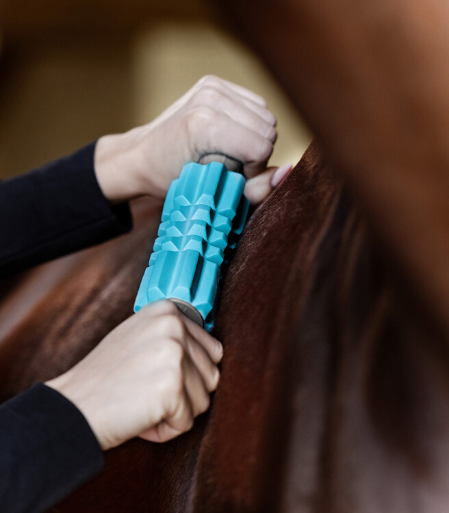 Waldhausen Health + Care Fascia Fit Massage roller