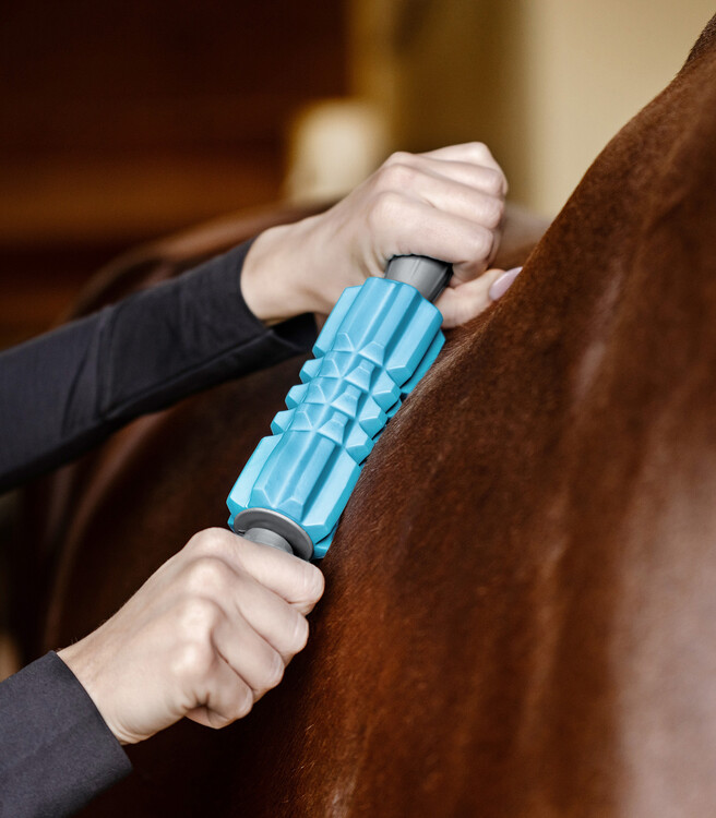 Waldhausen Health + Care Fascia Fit Massage roller