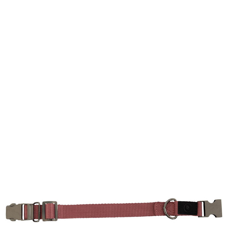BR Honden halsband