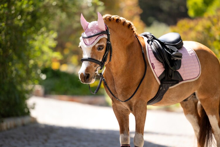 LeMieux Mini Classic Orennetje
