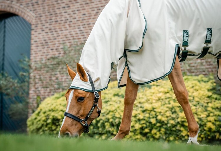Horseware Rambo Hoody Eczeemdeken