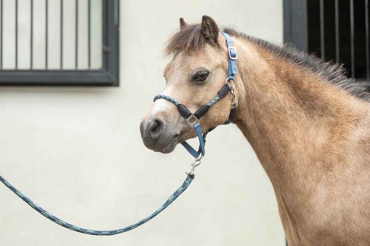 HKM Halster Nele
