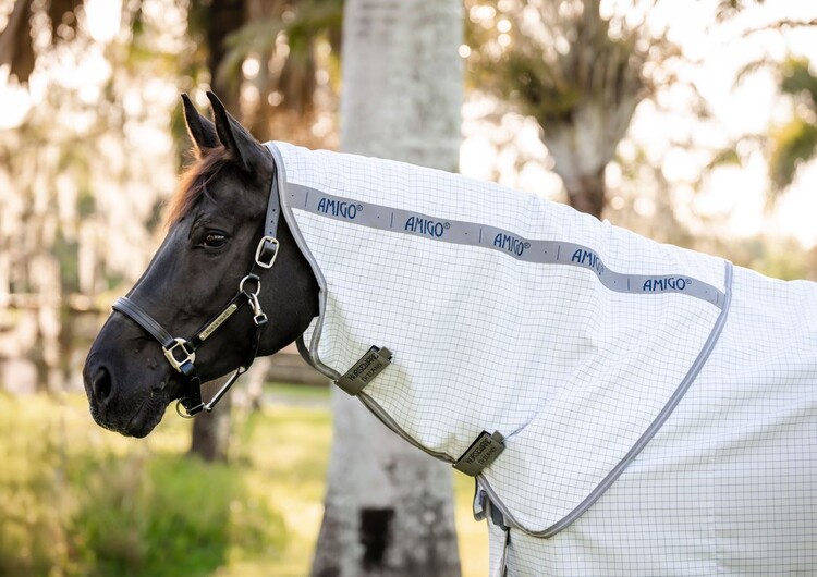 Horseware Amigo Summer Sheet Plus zomerdeken