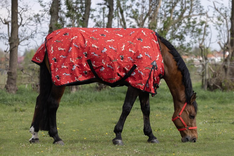 DKR Sports Regendeken Luxe met fleece