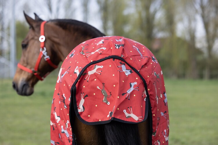 DKR Sports Regendeken Luxe met fleece