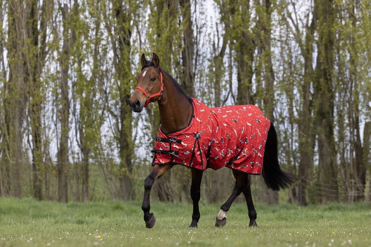 DKR Sports Regendeken Luxe met fleece