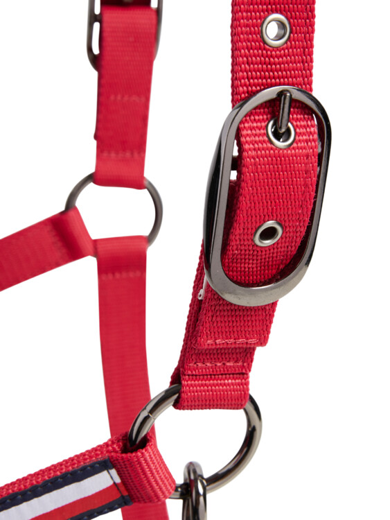 Tommy Hilfiger Lincoln Halster 