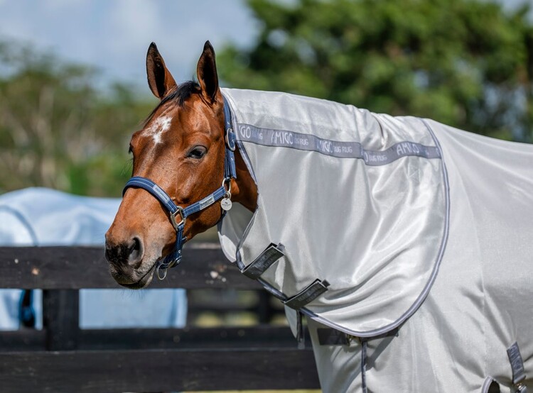 Horseware Amigo Bug Rug XL Plus vliegendeken