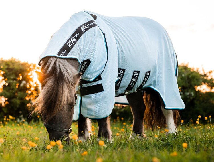 Horseware Amigo Petite Bug Rug