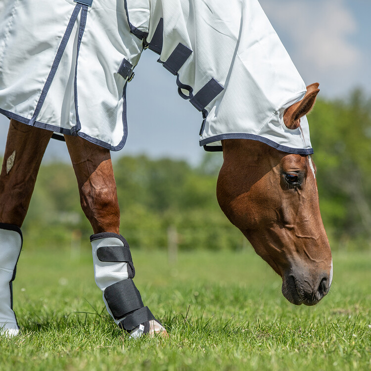 Horsegear Eczeemdeken Sweet Itch Full Neck