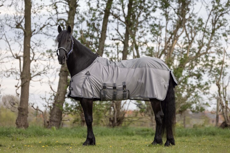 DKR Sports Combo-deken Summer Rain Big Neck 