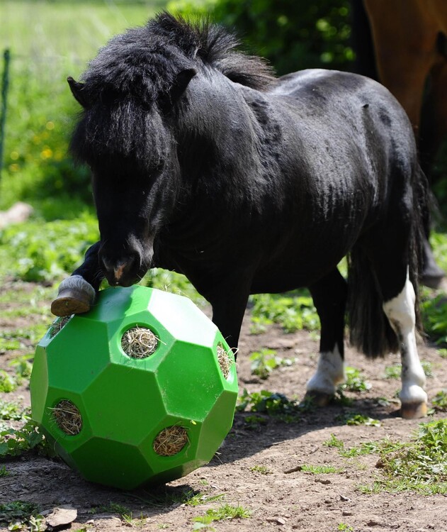 Hay Play Slowfeeder Hooibal
