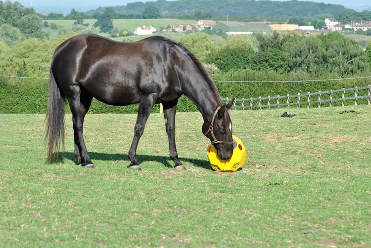 Hay Play Slowfeeder Hooibal
